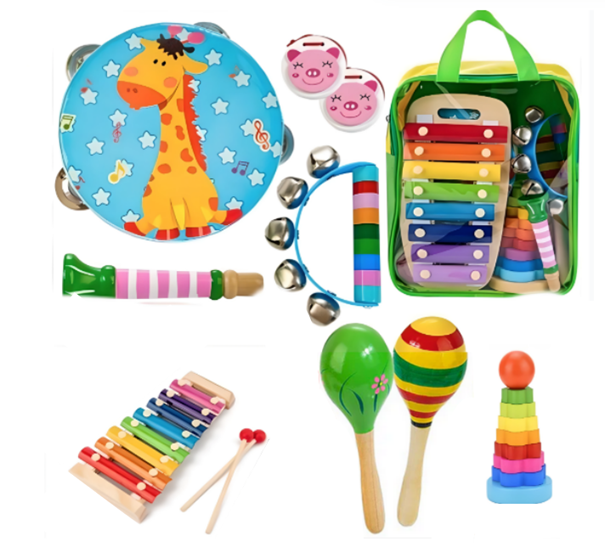 Toddlers Montessori Music Instruments