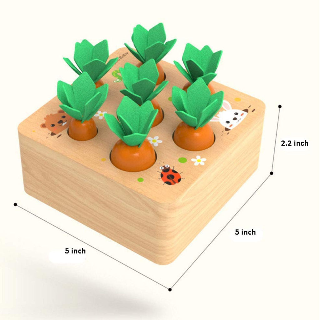 Montessori Carrot Set