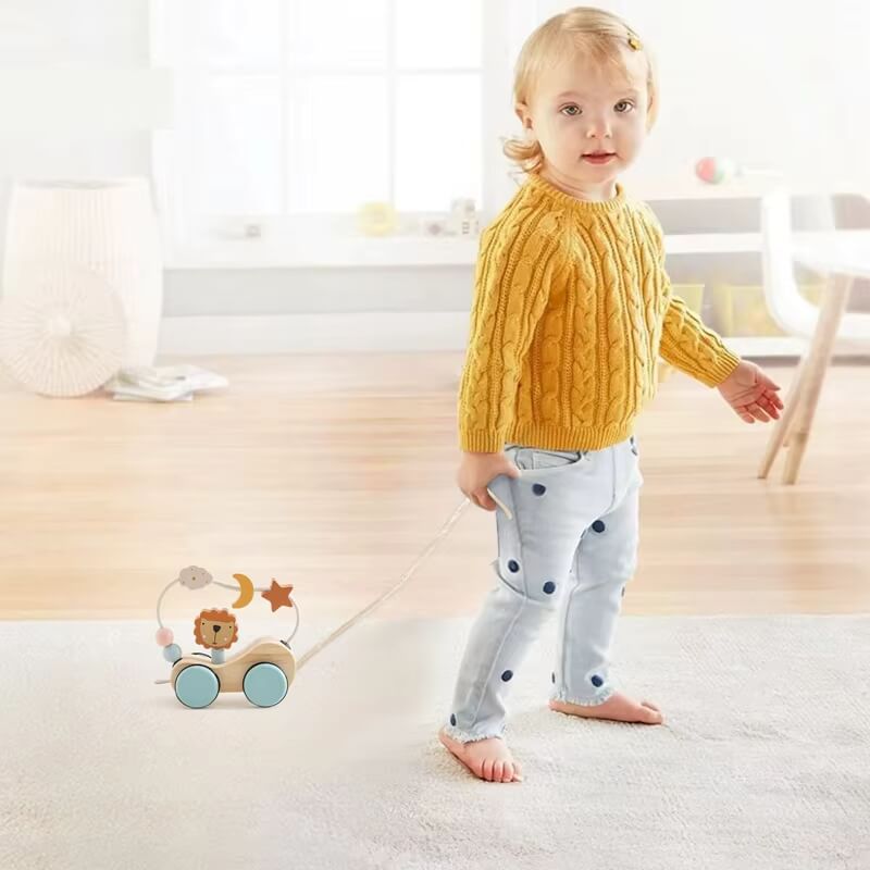Montessori Roaring Roller