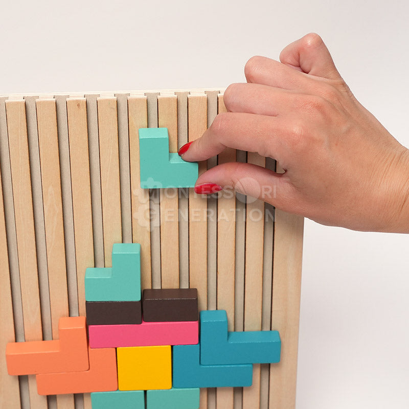 Montessori Brain Blocks
