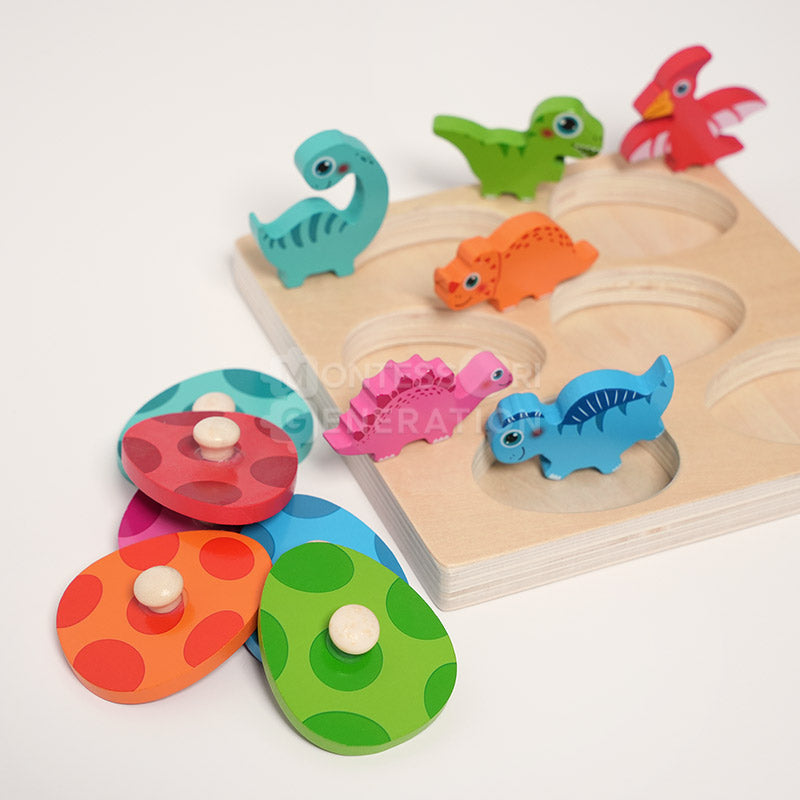Montessori Dino Hatch and Match