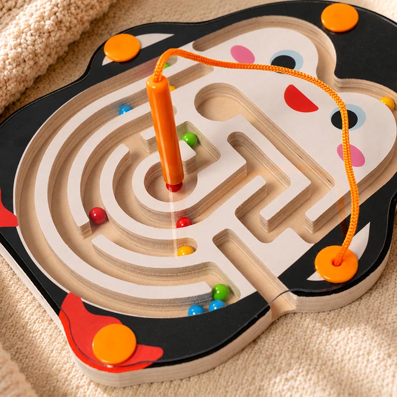 Montessori Magnetic Maze