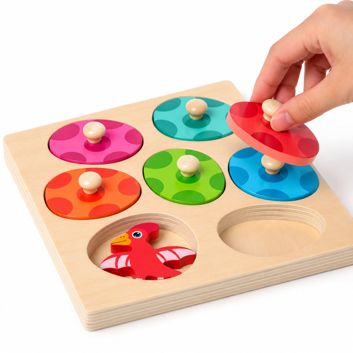 Montessori Dinosaur Egg Match