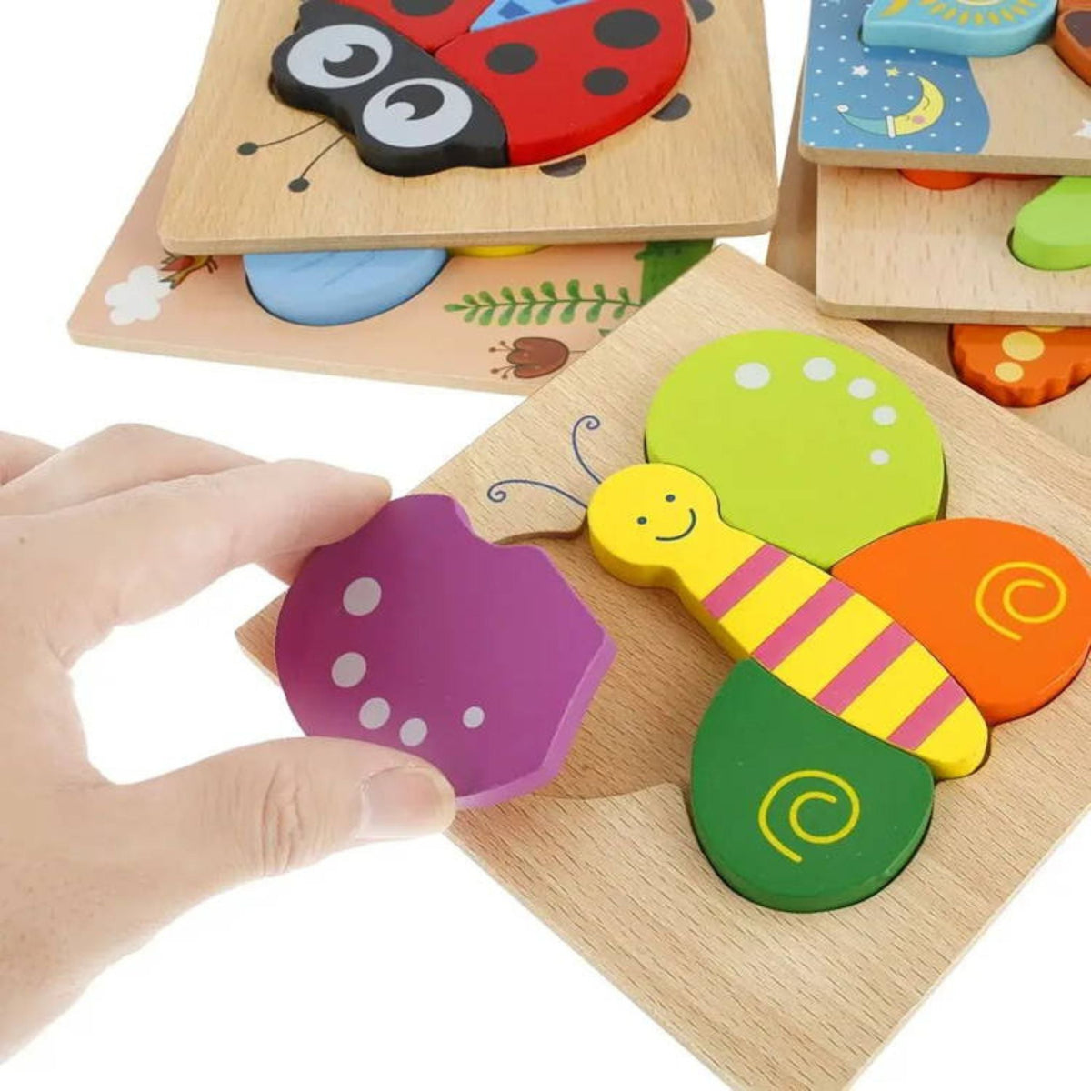 Montessori Puzzle Blocks