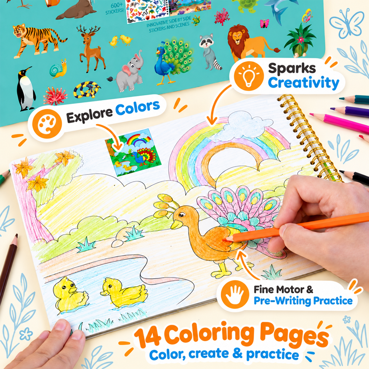 Montessori Sticker & Discover Book