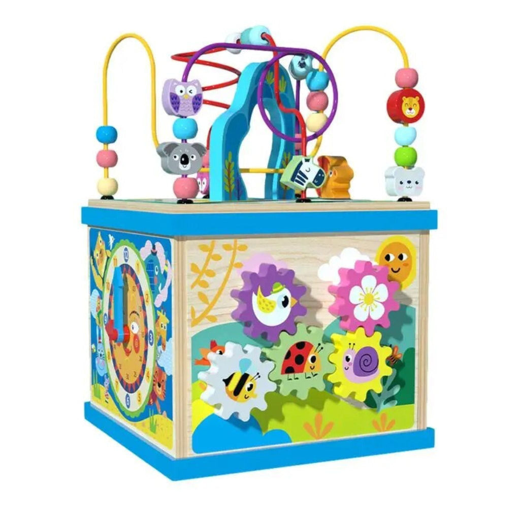 Montessori Wooden Activity Cube