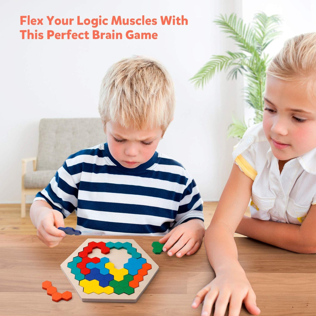 Montessori Wooden Hexagon Puzzle