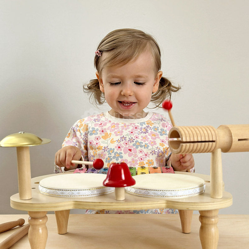 Montessori Percussion Set