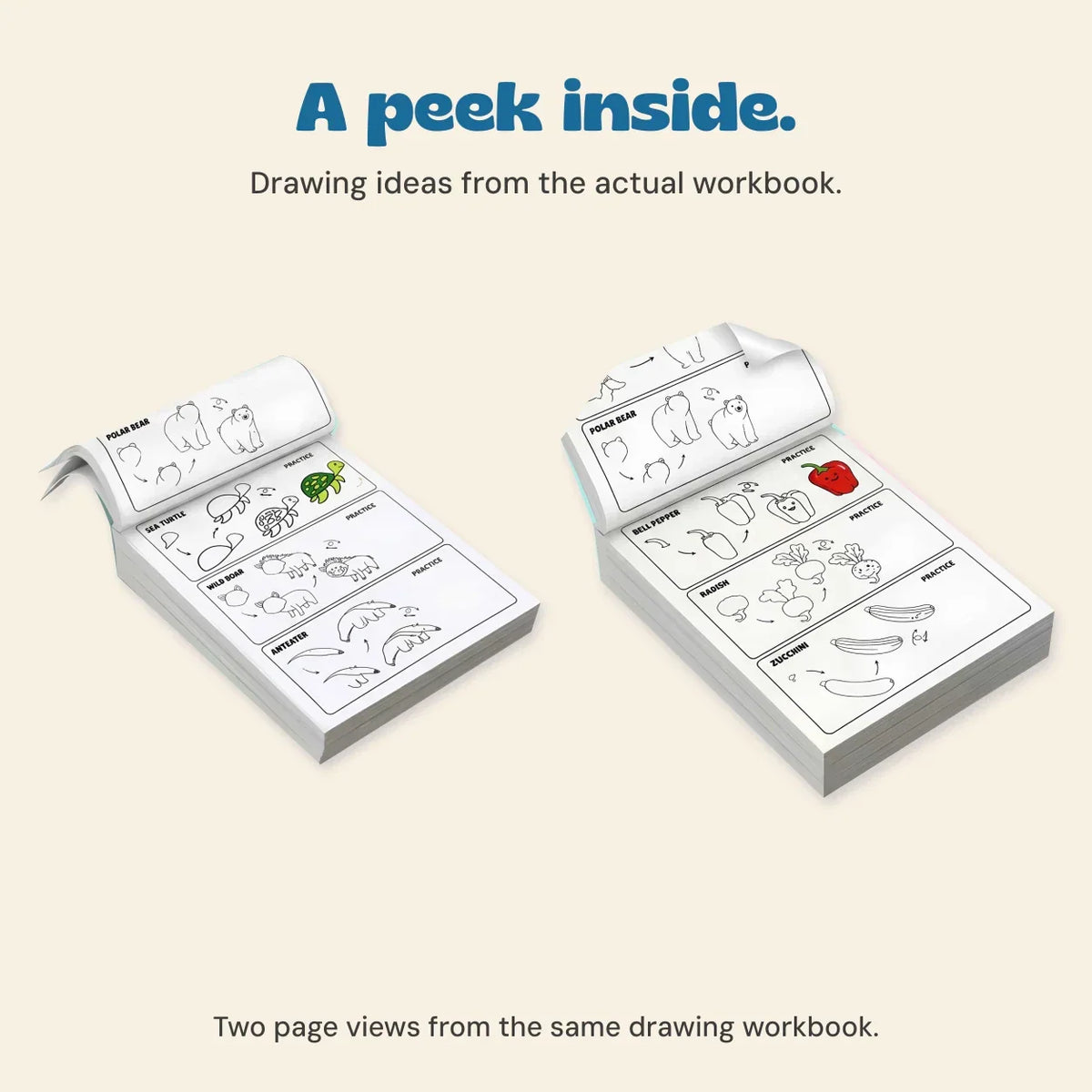 TibaToes™ Step-by-Step Drawing Workbook